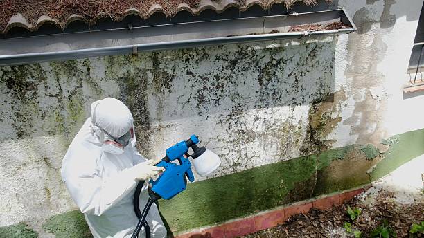 Top rated local Basement Mold Remediation specialists in York Springs, PA
